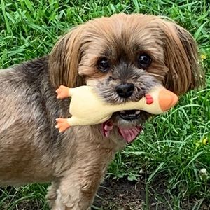 Meet your Posher, Sherry